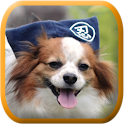 Papillon Battery logo