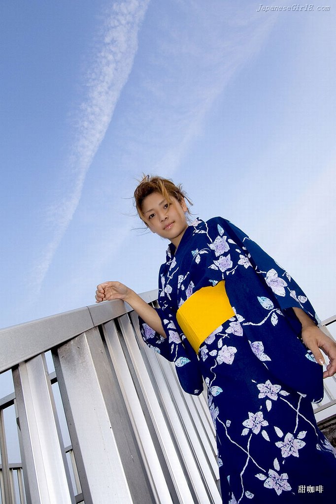 Japanese Kimono, Japanese wafuku 243.jpg