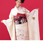 Japanese Kimono wafuku