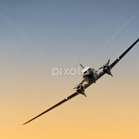 Breitling DC3 by Saša Halambek - Transportation Airplanes