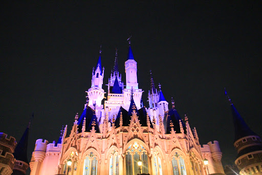 Cinderella Castle Backside