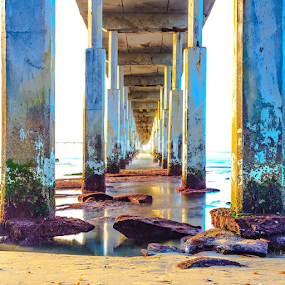 by Roman Gomez - Instagram & Mobile Instagram