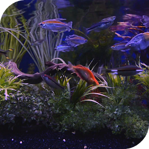 Aquarium Live Wallpaper.apk 2.0