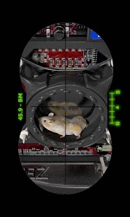 Gerbil live walpaper Screenshots 3