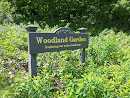 Montshire Woodland Garden