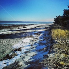 We drove down to check out this beach...Pickering Beach in Dover, DE. Not much snow around here. by Dianne Collins - Landscapes Beaches