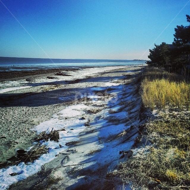 We drove down to check out this beach...Pickering Beach in Dover, DE. Not much snow around here. by Dianne Collins - Landscapes Beaches