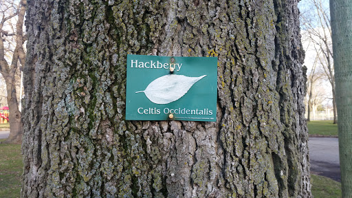 Community Park - Hackberry