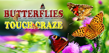 Butterflies Catch Craze 3D APK