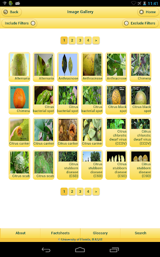 免費下載教育APP|NPDN Citrus Diseases app開箱文|APP開箱王