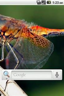 How to install Dragon Fly Live Wallpaper patch 1.1 apk for pc