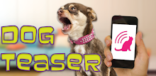 Dog Teaser APK