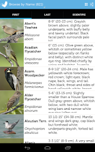 Audubon Birds - A Field Guide