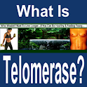 Telomerase logo