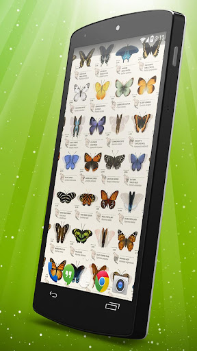 【免費個人化App】Vintage Butterflies LWP-APP點子