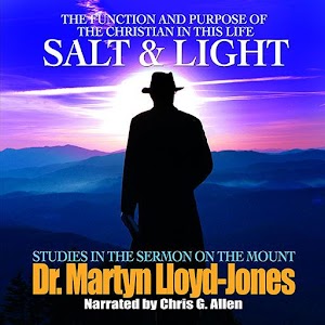 Salt & Light logo