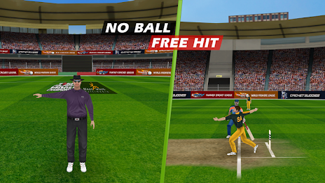 World Cricket Championship Pro poster 4