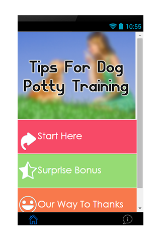 Tips For Dog Potty Training