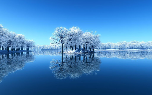 Snow Wallpaper