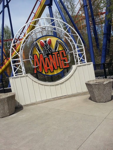 Mantis Roller Coaster