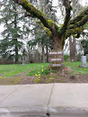 Maple Lane Cemetery