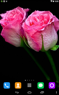 How to install Multicolored Roses lastet apk for android