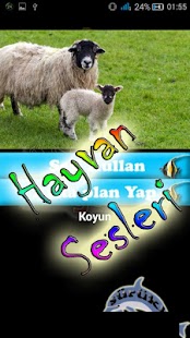 Lastest Hayvan Sesleri ve Resimler APK