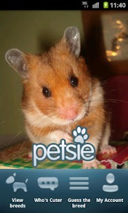 Free Rodents APK for Android