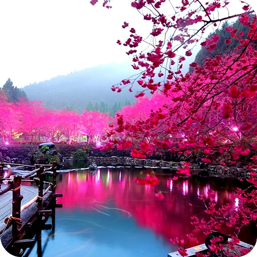 Relax Nature: Sakura 健康 App LOGO-APP開箱王
