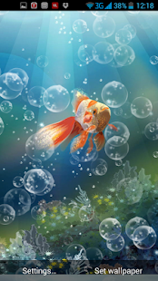 Zlatá rybka Živá Tapeta - náhled