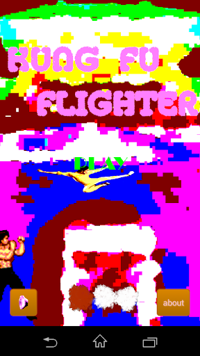 Kung Fu Flighter