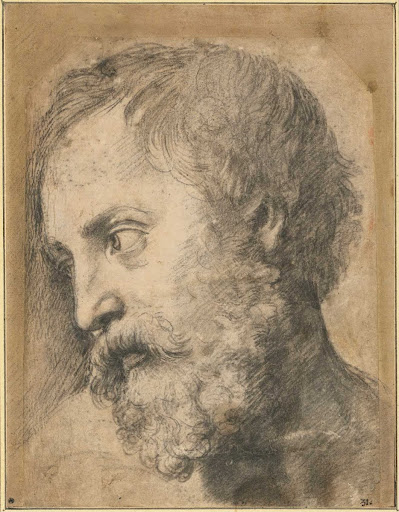 Head of An Apostle in the Transfiguration, 1519-1520