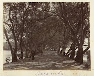 Straatgezicht in Colombo